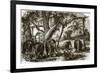 A Forest in Ceylon-English-Framed Premium Giclee Print