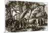 A Forest in Ceylon-English-Mounted Premium Giclee Print