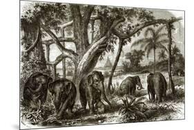 A Forest in Ceylon-English-Mounted Premium Giclee Print