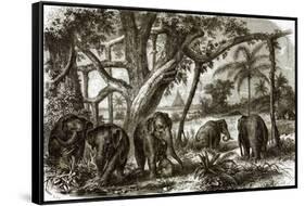 A Forest in Ceylon-English-Framed Stretched Canvas