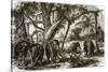 A Forest in Ceylon-English-Stretched Canvas
