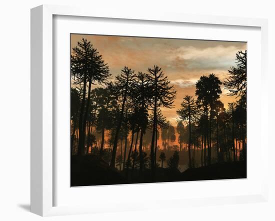 A Forest of Cordaites and Araucaria Silhouetted Against a Colorful Sunset-Stocktrek Images-Framed Photographic Print