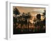 A Forest of Cordaites and Araucaria Silhouetted Against a Colorful Sunset-Stocktrek Images-Framed Photographic Print