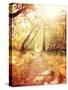 A Forest or Park with Trees with Autumn Leaves Toned with a Retro Vintage Instagram Filter-graphicphoto-Stretched Canvas