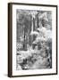 A Forest, Pacific Coast-Vincent James-Framed Photographic Print