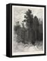 A Forest Pathway, Canada, Nineteenth Century-null-Framed Stretched Canvas