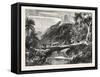 A Forest Scene in Madagascar, 1865-null-Framed Stretched Canvas