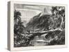 A Forest Scene in Madagascar, 1865-null-Stretched Canvas