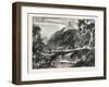 A Forest Scene in Madagascar, 1865-null-Framed Giclee Print