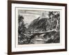 A Forest Scene in Madagascar, 1865-null-Framed Giclee Print