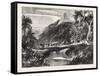 A Forest Scene in Madagascar, 1865-null-Framed Stretched Canvas