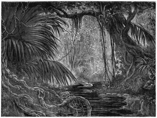 Premium Giclee Print, , large