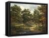A Forest Scene, Sussex-Patrick Nasmyth-Framed Stretched Canvas