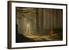 A Forest Walk-Jan Paul Kraaij-Framed Photographic Print