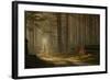 A Forest Walk-Jan Paul Kraaij-Framed Photographic Print