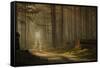 A Forest Walk-Jan Paul Kraaij-Framed Stretched Canvas