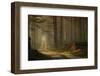 A Forest Walk-Jan Paul Kraaij-Framed Photographic Print