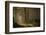 A Forest Walk-Jan Paul Kraaij-Framed Photographic Print