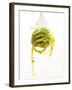 A Forkful of Spaghetti with Pesto-Marc O^ Finley-Framed Photographic Print