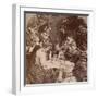 A Fortune in a Teacup, 1901-null-Framed Photographic Print