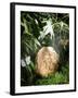 A Fossilized Dinosaur Egg, Probably of the Sauropod Hypselosaurus-null-Framed Giclee Print