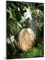 A Fossilized Dinosaur Egg, Probably of the Sauropod Hypselosaurus-null-Mounted Giclee Print