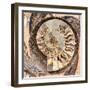 A Fossilized Shell Cut in Half. Santa Fe, New Mexico, Usa-Julien McRoberts-Framed Photographic Print