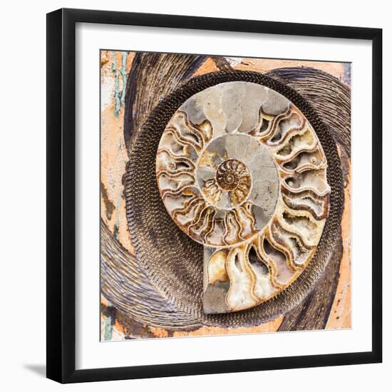 A Fossilized Shell Cut in Half. Santa Fe, New Mexico, Usa-Julien McRoberts-Framed Photographic Print