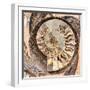 A Fossilized Shell Cut in Half. Santa Fe, New Mexico, Usa-Julien McRoberts-Framed Photographic Print