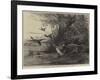 A Four-Legged Poacher, Reynard Baulked of His Dinner-Charles Harvey Weigall-Framed Giclee Print