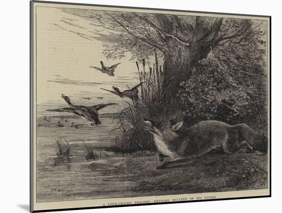 A Four-Legged Poacher, Reynard Baulked of His Dinner-Charles Harvey Weigall-Mounted Giclee Print