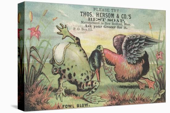A Fowl Blow', Advertisement for Thos. Hersom and Co's Best Soap, C.1880-American School-Stretched Canvas