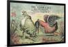 A Fowl Blow', Advertisement for Thos. Hersom and Co's Best Soap, C.1880-American School-Framed Giclee Print