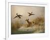 A Fox flushing a Mallard and a Duck, 1870 oil on board-null-Framed Giclee Print