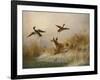 A Fox flushing a Mallard and a Duck, 1870 oil on board-null-Framed Giclee Print