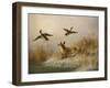 A Fox flushing a Mallard and a Duck, 1870 oil on board-null-Framed Giclee Print