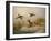 A Fox flushing a Mallard and a Duck, 1870 oil on board-null-Framed Giclee Print