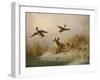 A Fox flushing a Mallard and a Duck, 1870 oil on board-null-Framed Giclee Print