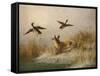 A Fox flushing a Mallard and a Duck, 1870 oil on board-null-Framed Stretched Canvas