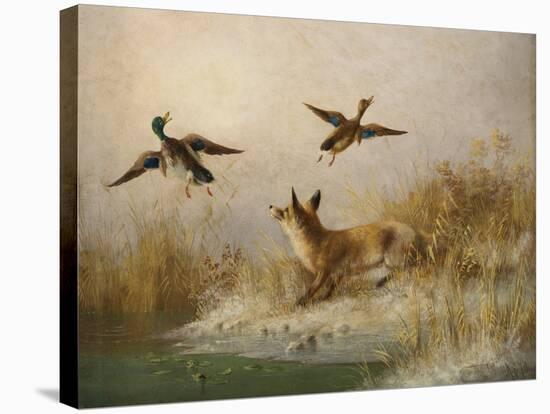 A Fox flushing a Mallard and a Duck, 1870 oil on board-null-Stretched Canvas