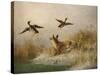 A Fox flushing a Mallard and a Duck, 1870 oil on board-null-Stretched Canvas