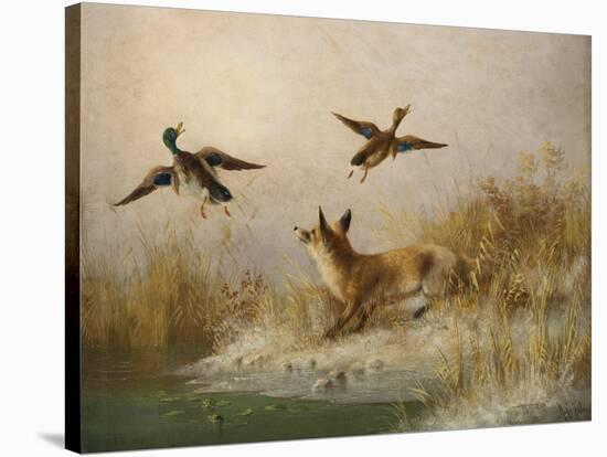 A Fox flushing a Mallard and a Duck, 1870 oil on board-null-Stretched Canvas