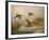 A Fox flushing a Mallard and a Duck, 1870 oil on board-null-Framed Giclee Print