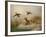 A Fox flushing a Mallard and a Duck, 1870 oil on board-null-Framed Giclee Print