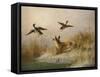 A Fox flushing a Mallard and a Duck, 1870 oil on board-null-Framed Stretched Canvas