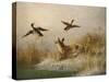 A Fox flushing a Mallard and a Duck, 1870 oil on board-null-Stretched Canvas