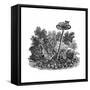 A Fox Growls at a Caught Sheep-Thomas Bewick-Framed Stretched Canvas