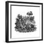 A Fox Growls at a Caught Sheep-Thomas Bewick-Framed Giclee Print