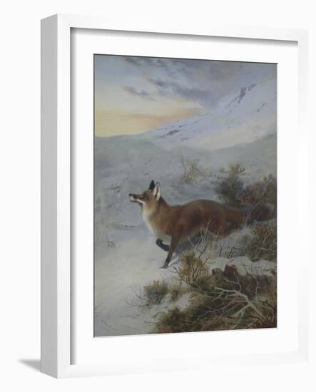 A Fox in a Winter Landscape-Archibald Thorburn-Framed Giclee Print