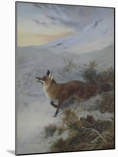 A Fox in a Winter Landscape-Archibald Thorburn-Mounted Giclee Print